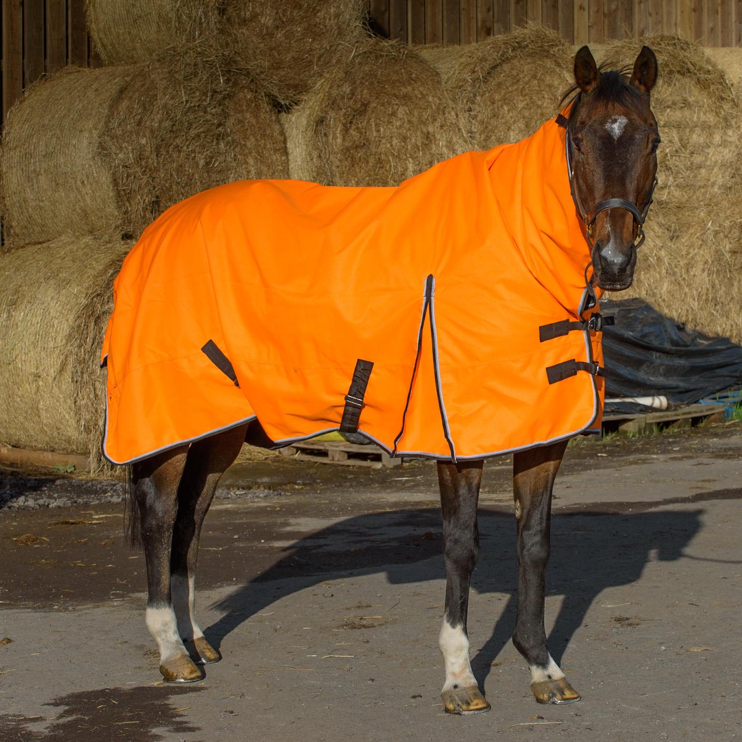 1200D Outdoor Winter Turnout Horse Rugs 100G Fill Combo Teflon Orange 5'3-6'9