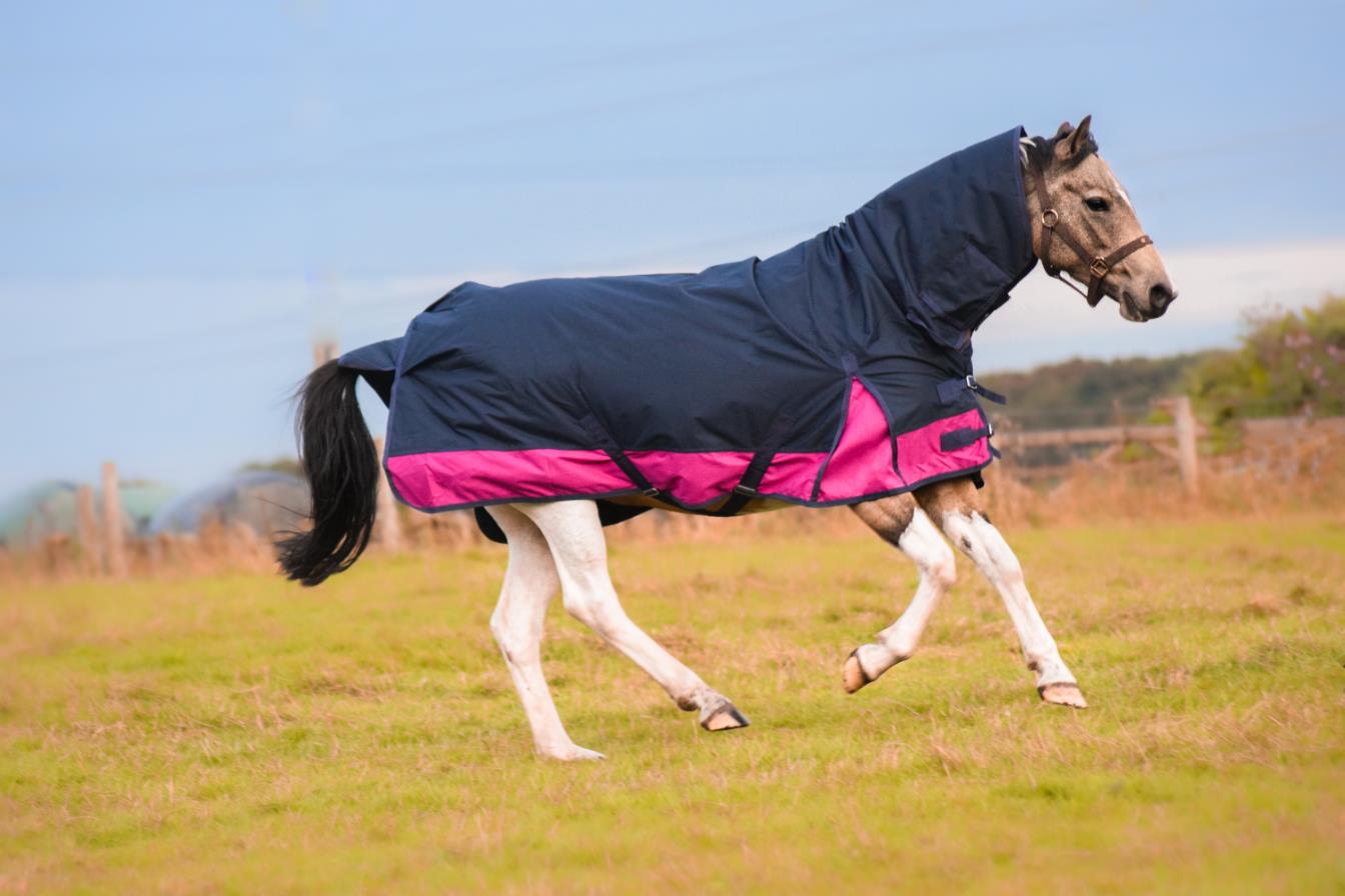 1200D Winter Turnout Horse Rugs 50g Filling COMBO Neck Navy/Raspberry 5'3-6'9