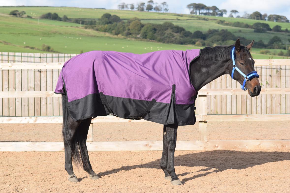 Outdoor Mediumweigt Turnout Horse Rugs 100g HALF Neck Tefln Purple/Black 5'3-6'9