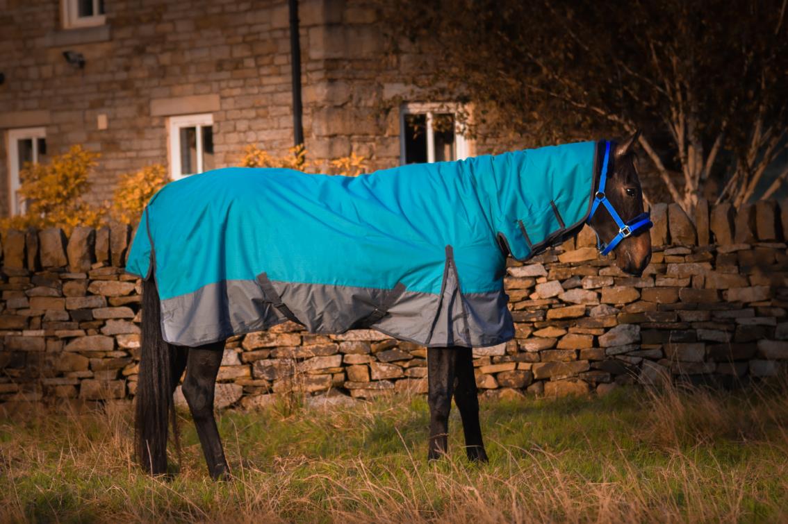 Outdoor Winter Turnout Horse Rugs 50g COMBO Full Neck Aqua/Grey 5'3-6'9