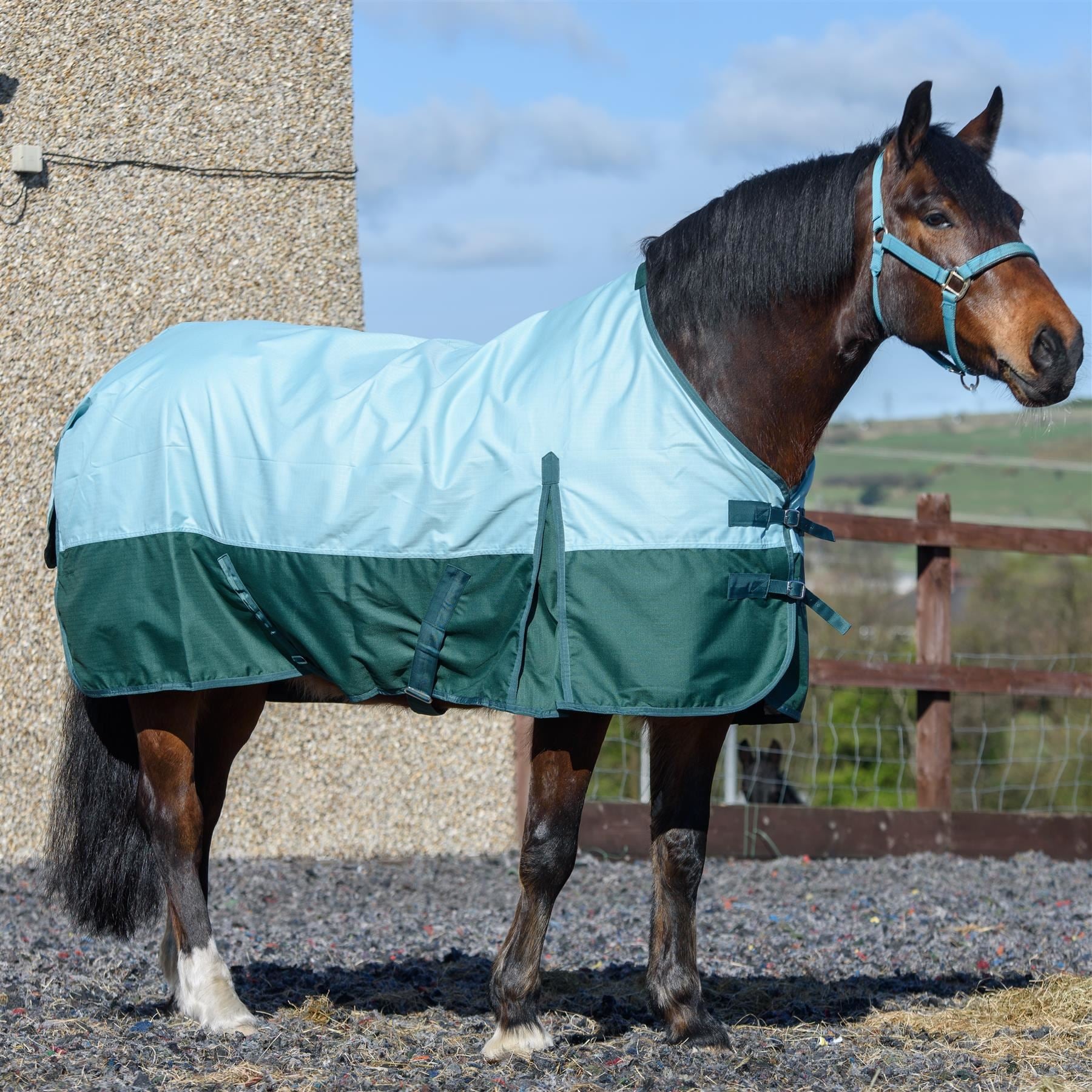 Outdoor Winter Turnout Horse 100g Wateproof Pista Aqua/Bottle Green 5'6-6'9