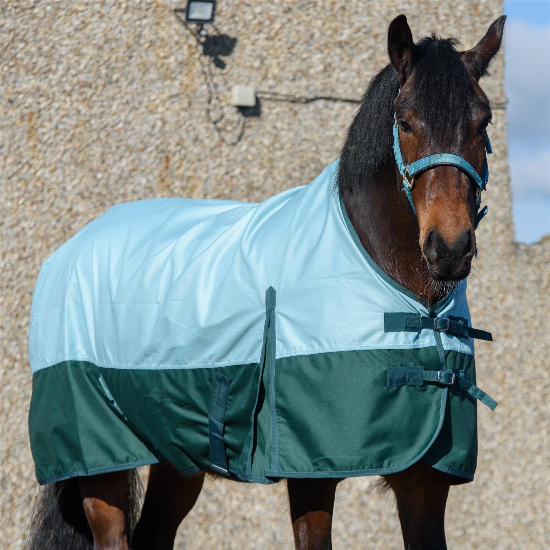 Outdoor Winter Turnout Horse 100g Wateproof Pista Aqua/Bottle Green 5'6-6'9
