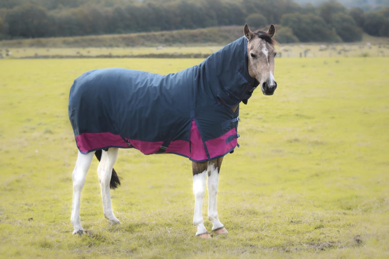 600D Mediumweight Winter Turnout Horse Rugs Combo Neck 50g Navy/Raspbery 5'3-6'9