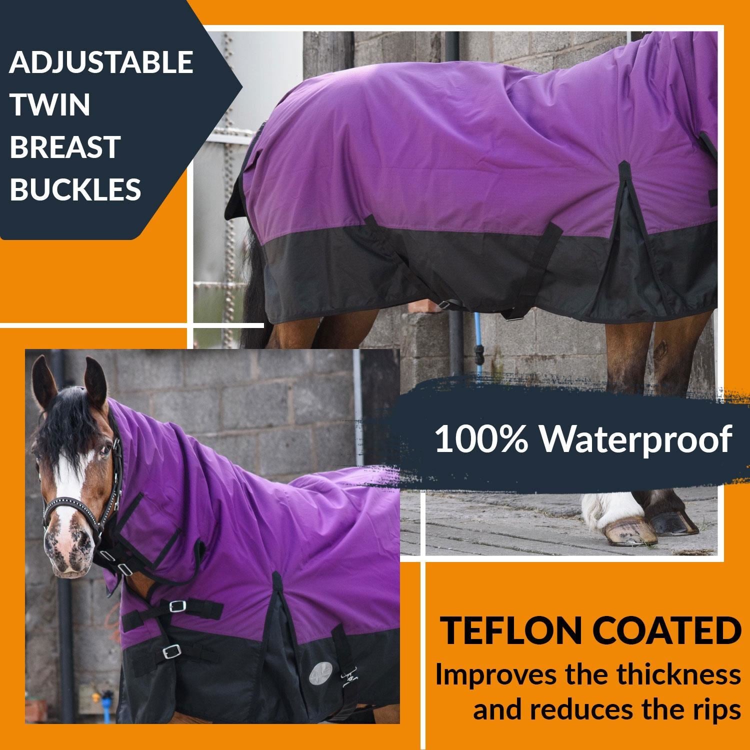 600D Outdoor Winter Turnout Horse Rugs 350G Fill Combo Neck Purple/Black 5'3-6'9