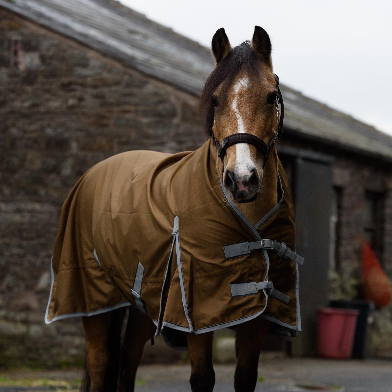 Outdoor Mediumwite Turnout 600 Denier HALF Neck 50G Fill Horse Rug Brown 5'6-6'9