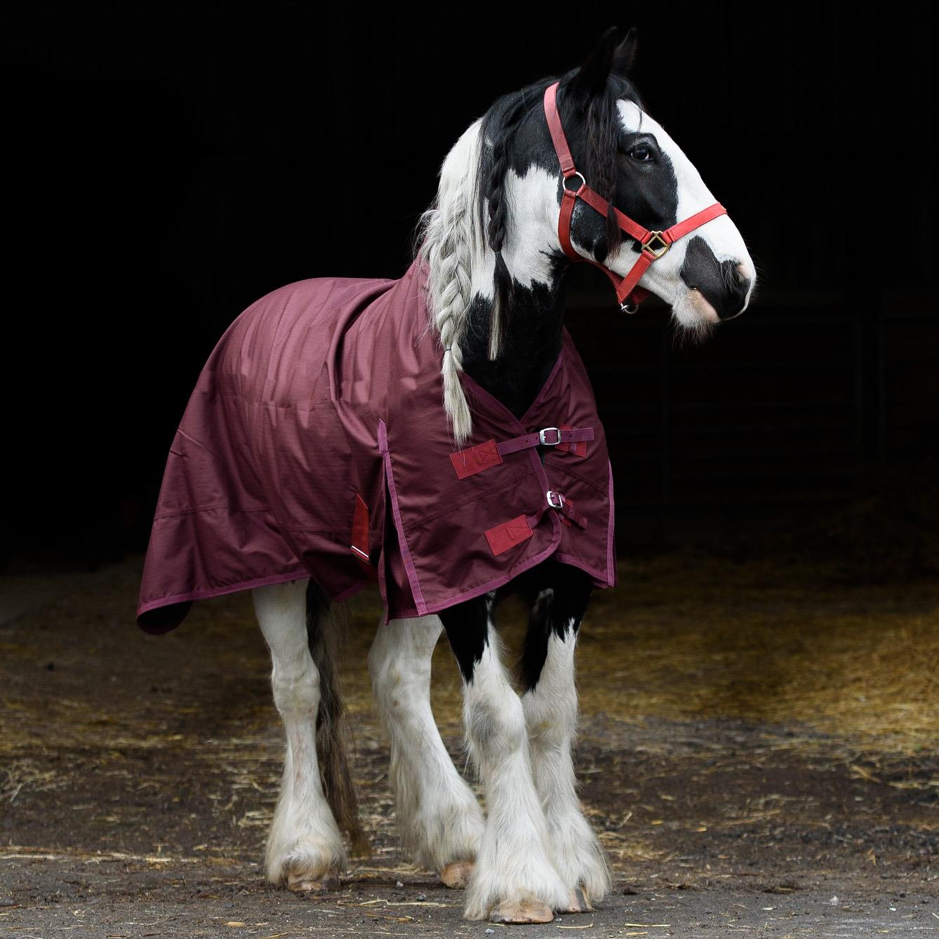 Lightweight Turnout Rainsheet 600 Denier HALF Neck Horse Rug Burgundy 5'6-6'9