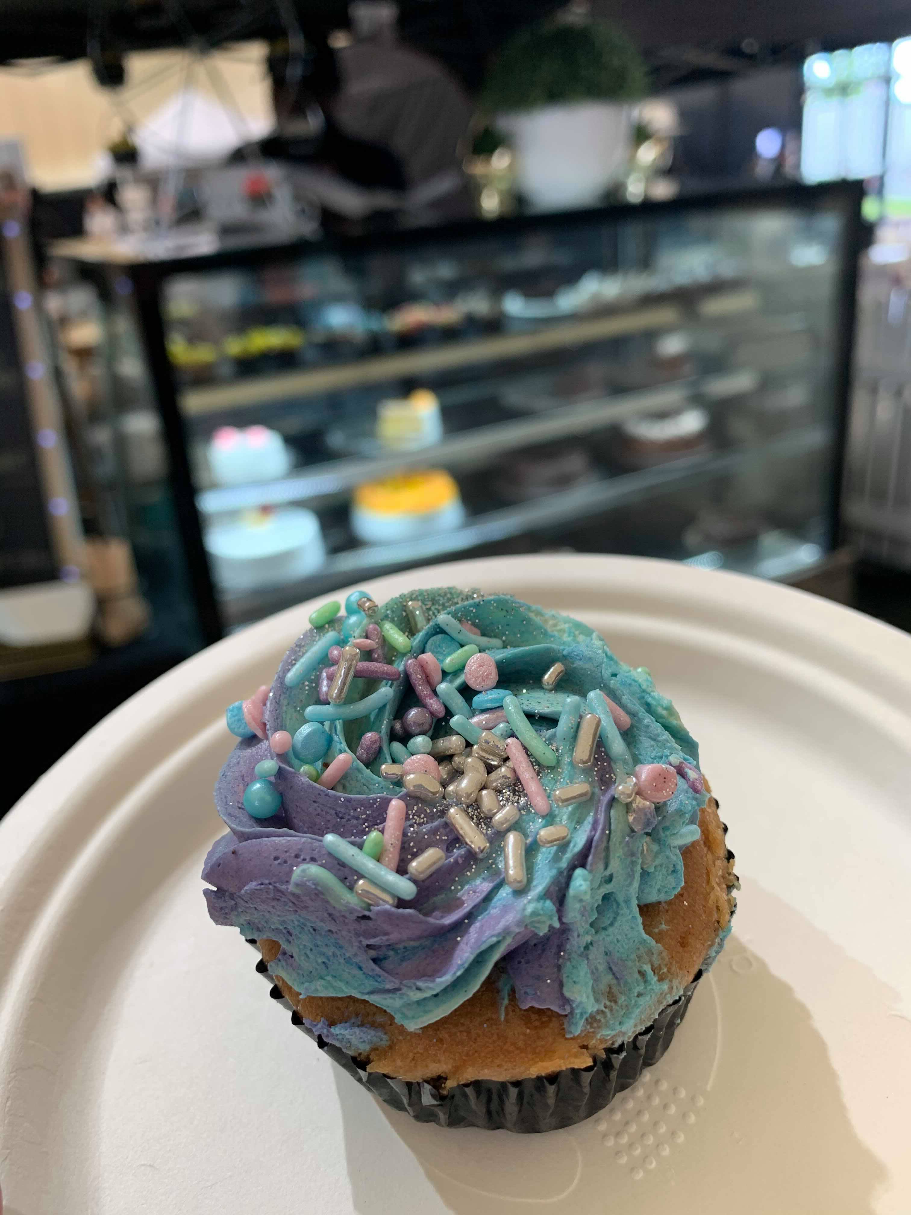 world vegan day melbourne 2019 vegan rainbow cupcake