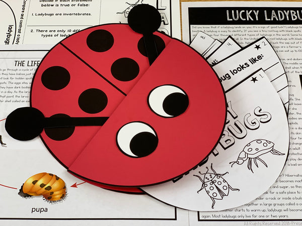Ladybug activities for kids