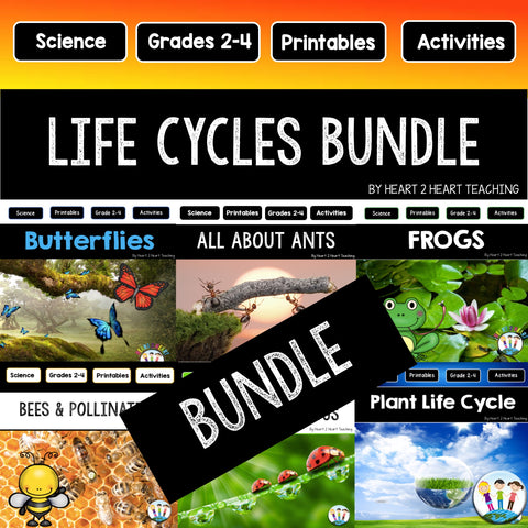 Life Cycles activities for kids