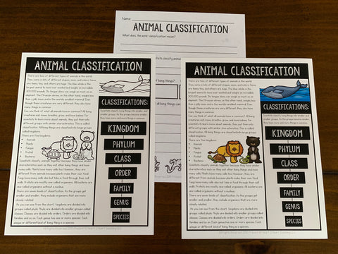 Animal Classification Unit for Kids