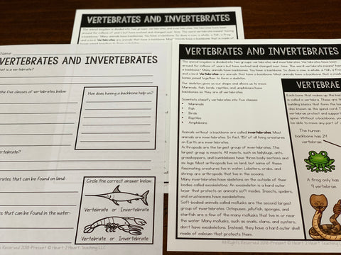 Vertebrates and Invertebrates Activities for Kids