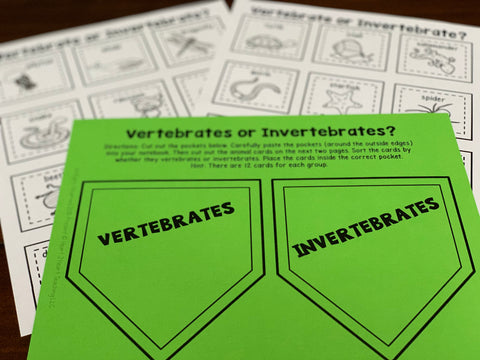 Vertebrates and invertebrates activities for kids