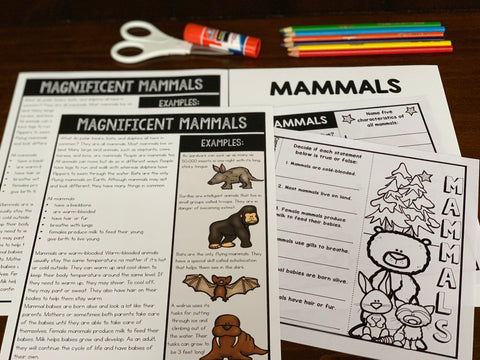Mammals activities for kids