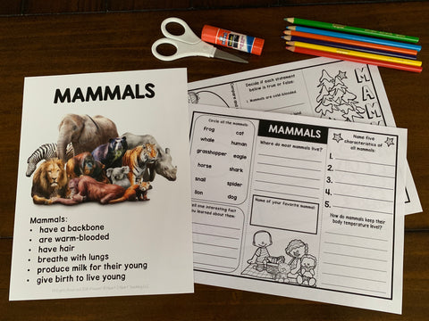 Animal activities for students