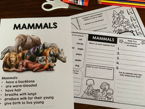 mammals activities for kids