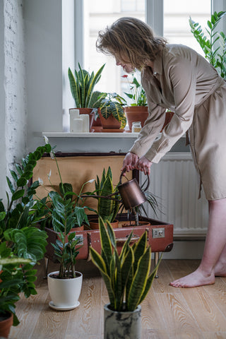 Woman watering her indoor plants