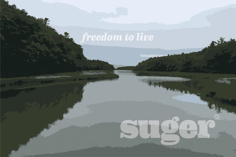 visit Suger in Portland, Maine