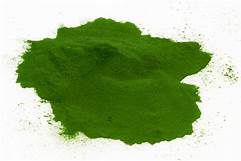 Organic Chlorella Blue-Green Algae Broken Cell