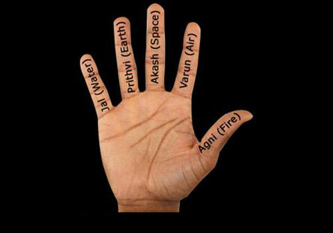 corresponding elements on fingers
