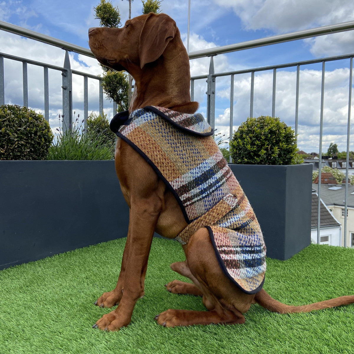 Mantel für Hunde aus recycletem Tweed Van Muppen