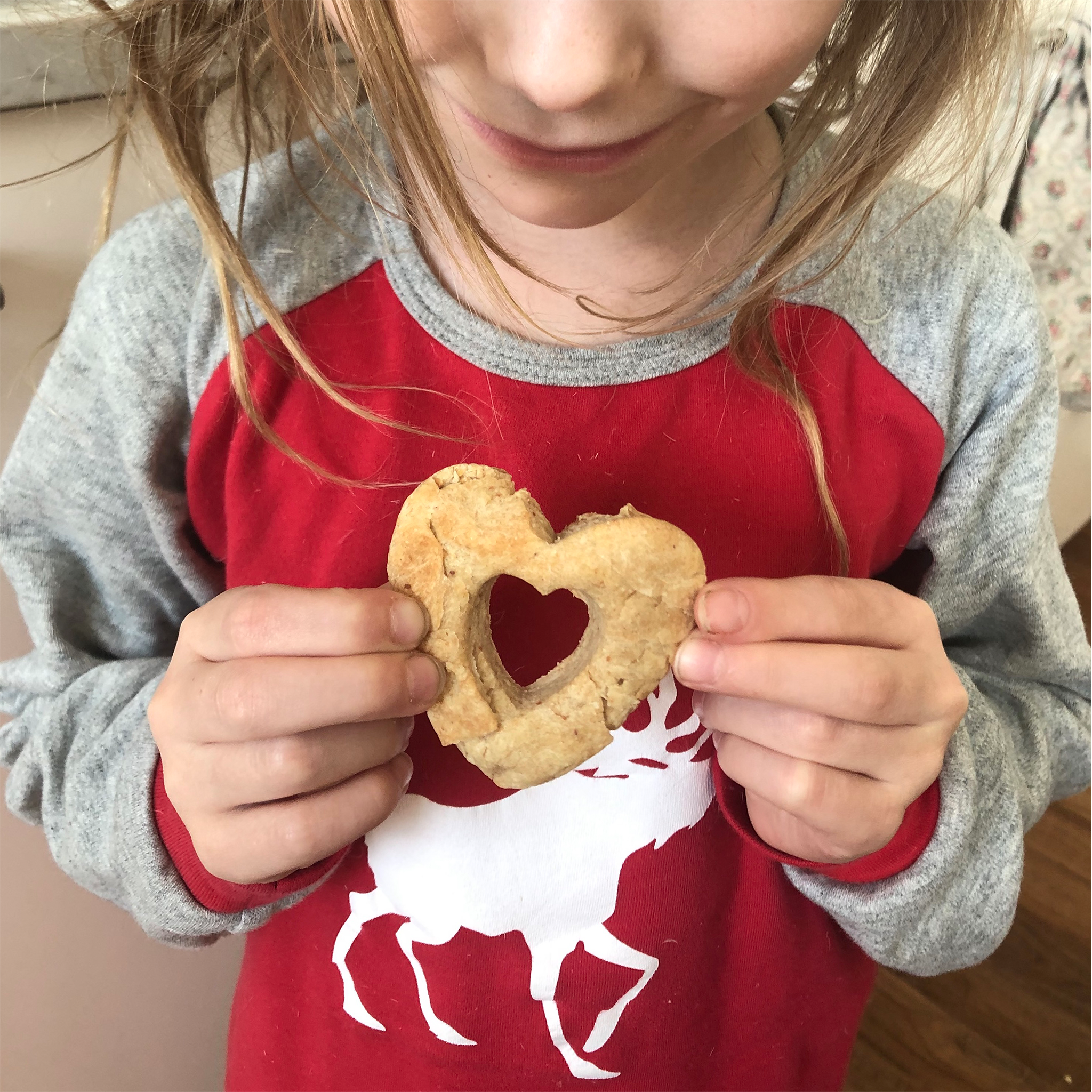 Natural peanut butter dog biscuit