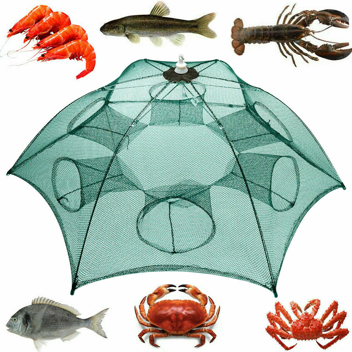 Fishernomics Magic Fish Trap Net with Bait Pocket