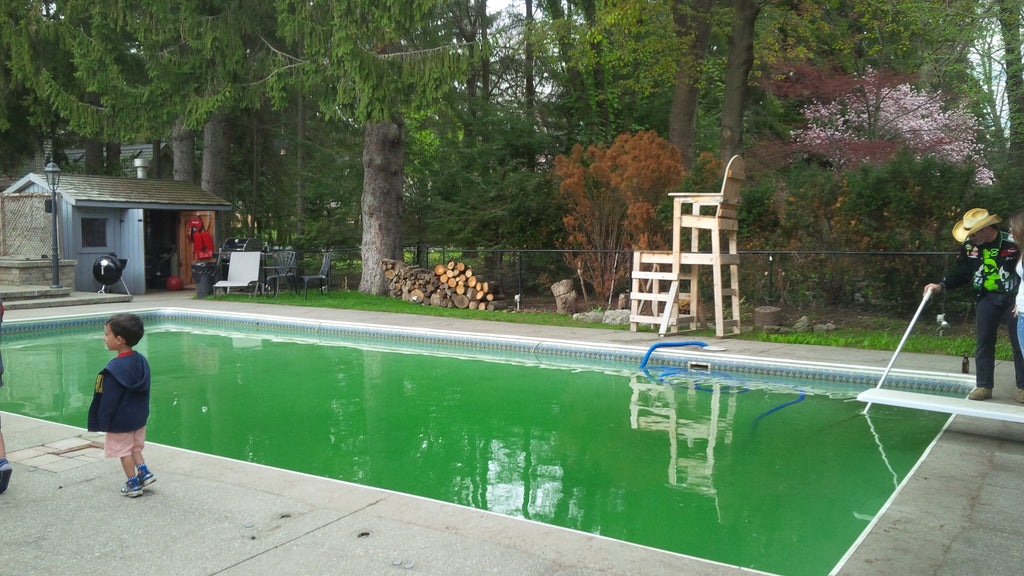 opening the pool in spring before big renovation - Dave's Backyard reno DIY