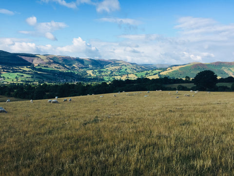 Tanant Valley, mid Wales