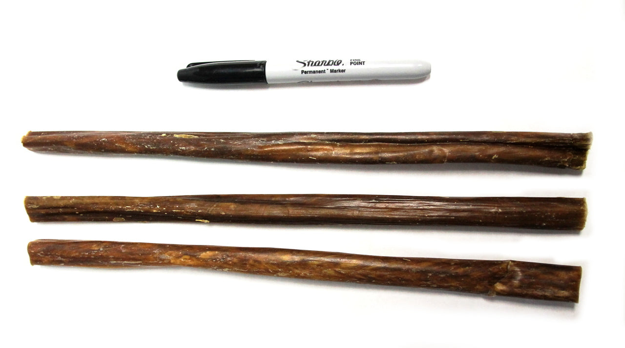 12" Gullet Sticks