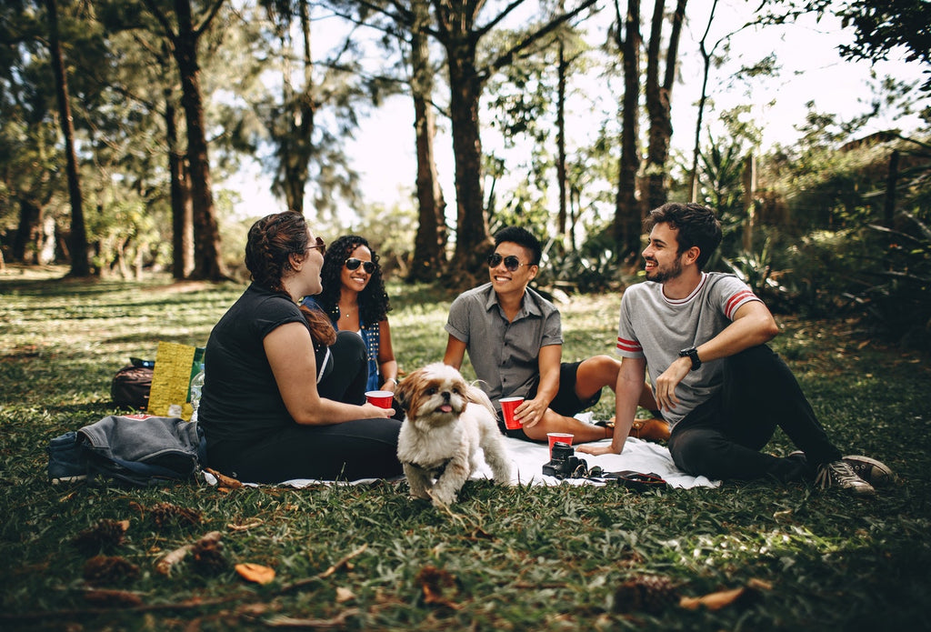 Group BBQ with Dog