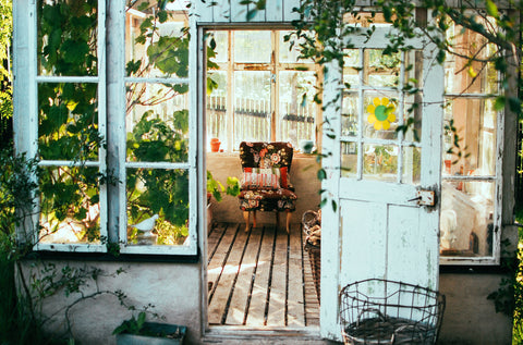 the image shows a pretty and old greenhouse