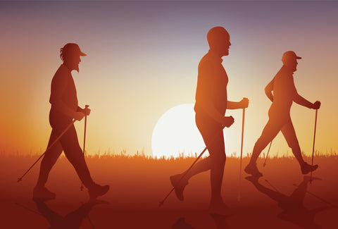 The image shows the silhouettes of three men walking, with each one holding a walking stick as the sunsets in the distance