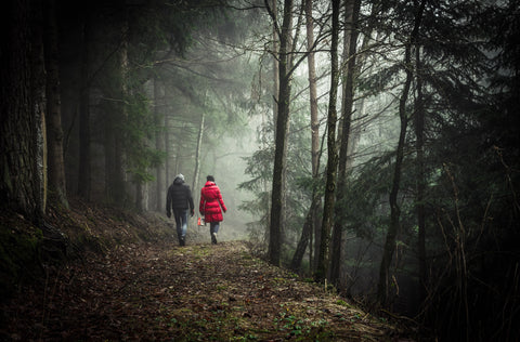Two people walking a dense forest