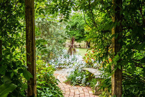 the image shows a magical looking garden