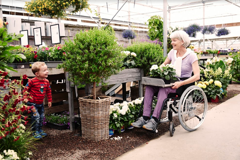 Woman in wheelchair potting plants with grandson