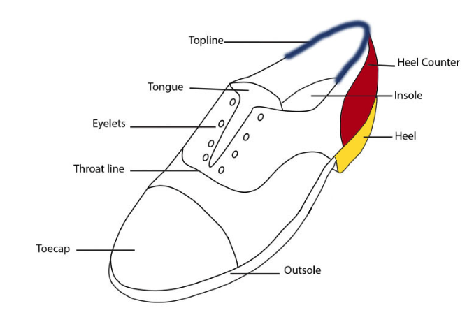 A graphic image showing what all of the different parts of a shoe are called
