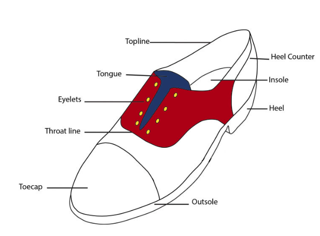 A graphic showing what each part of a shoe is called