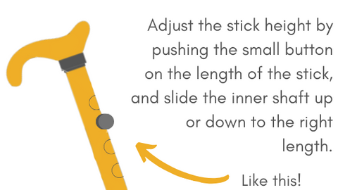 A diagram showing how you adjust a walking stick