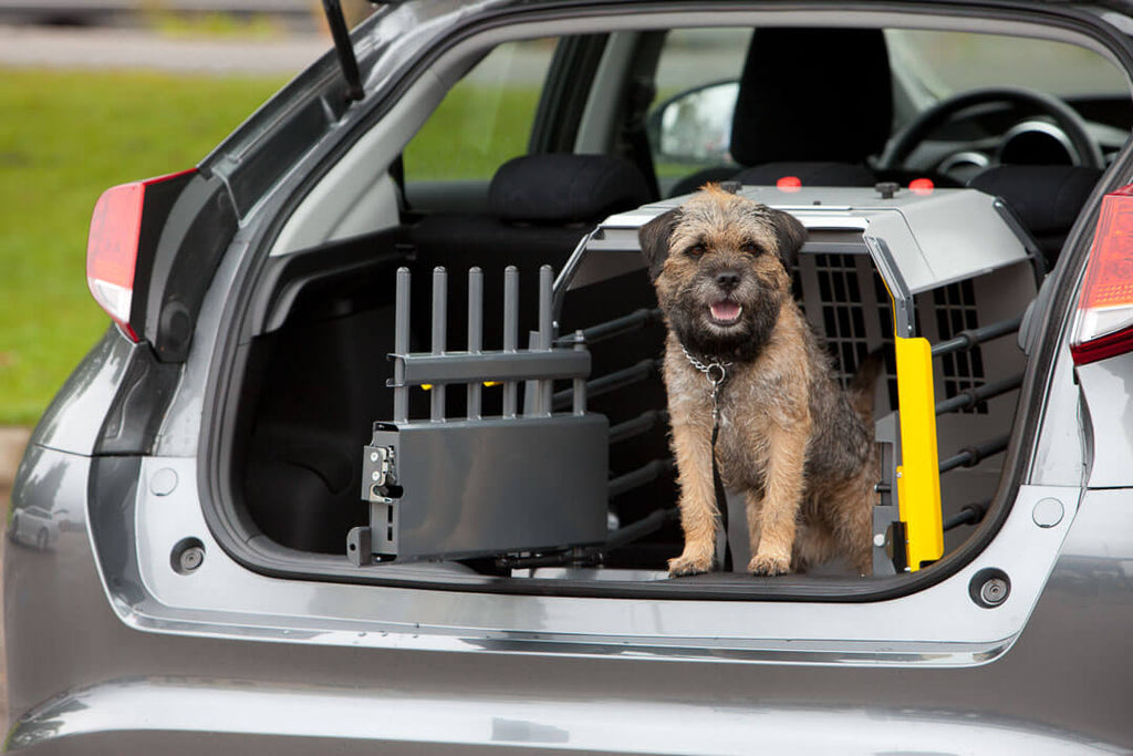 car cages for dogs hatchback cars