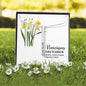December Narcisssus