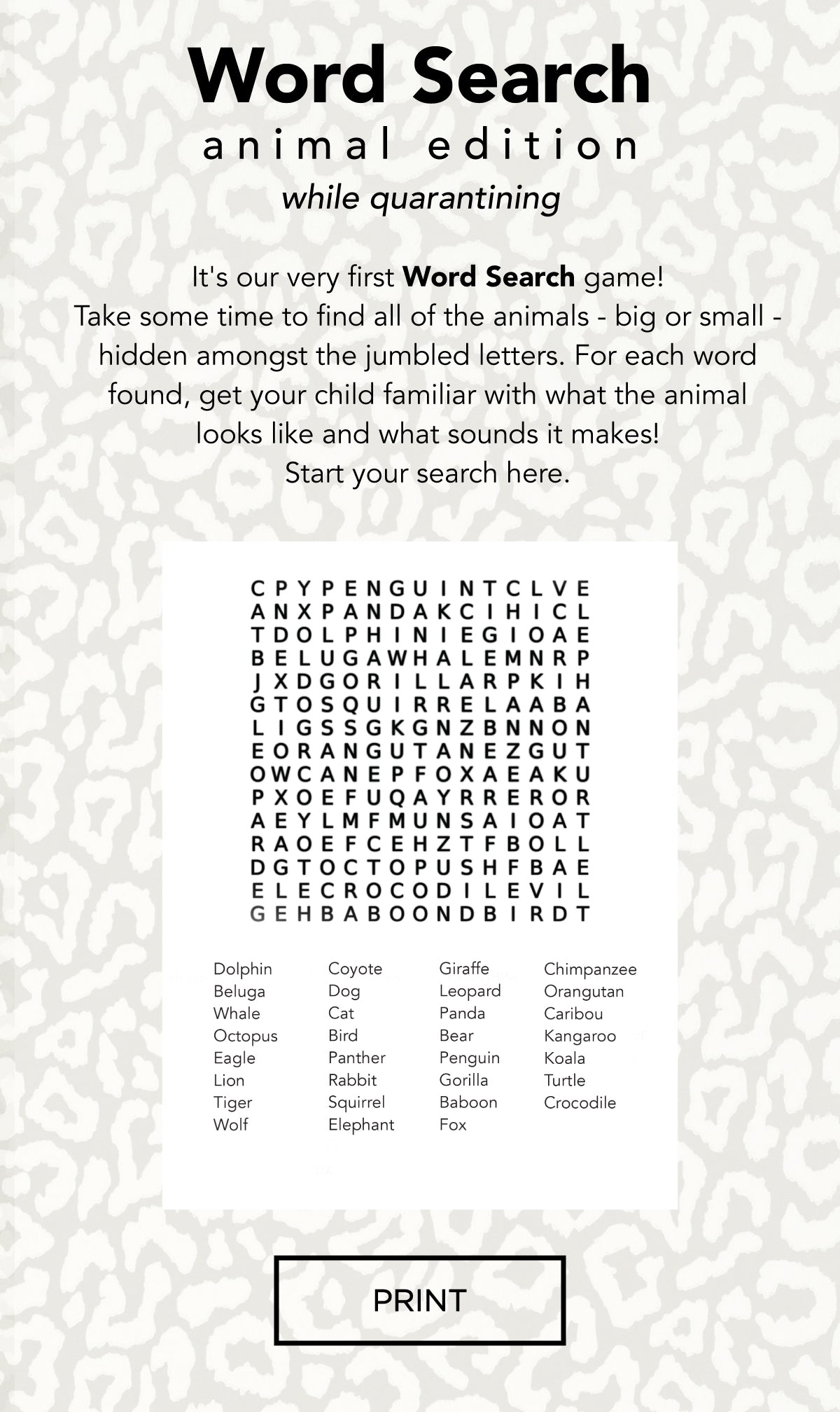 Animal Word Search 7AM Enfant