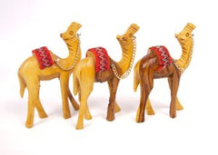 Olivewood camels