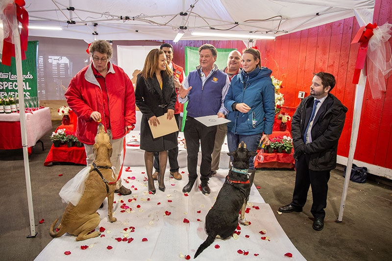 Barbara Murphy, Legislator Perez, Stew Leonard Jr, Shari Wagner, and Eamonn O'Brien serve as wedding party, officiant, and witnesses to the union of these two VERY GOOD DOGS.