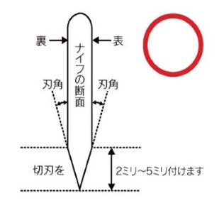 Western style knife double bevel edge diagram