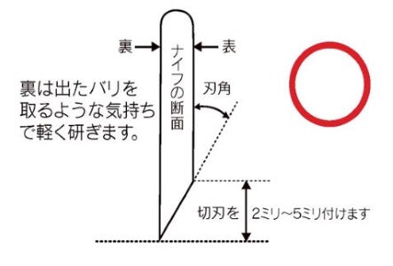 Western style knife single bevel edge diagram