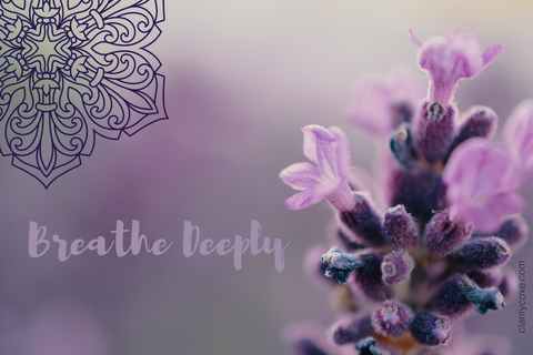 breathe deeply clarity cove mandala meditation card