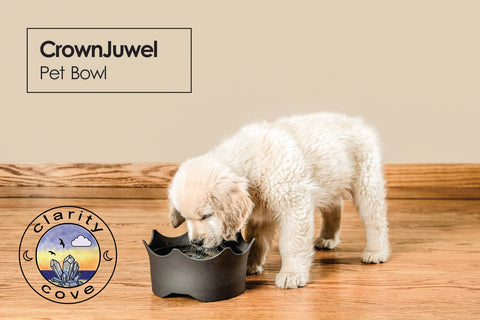 vitajuwel gemwater pet bowl from clarity cove