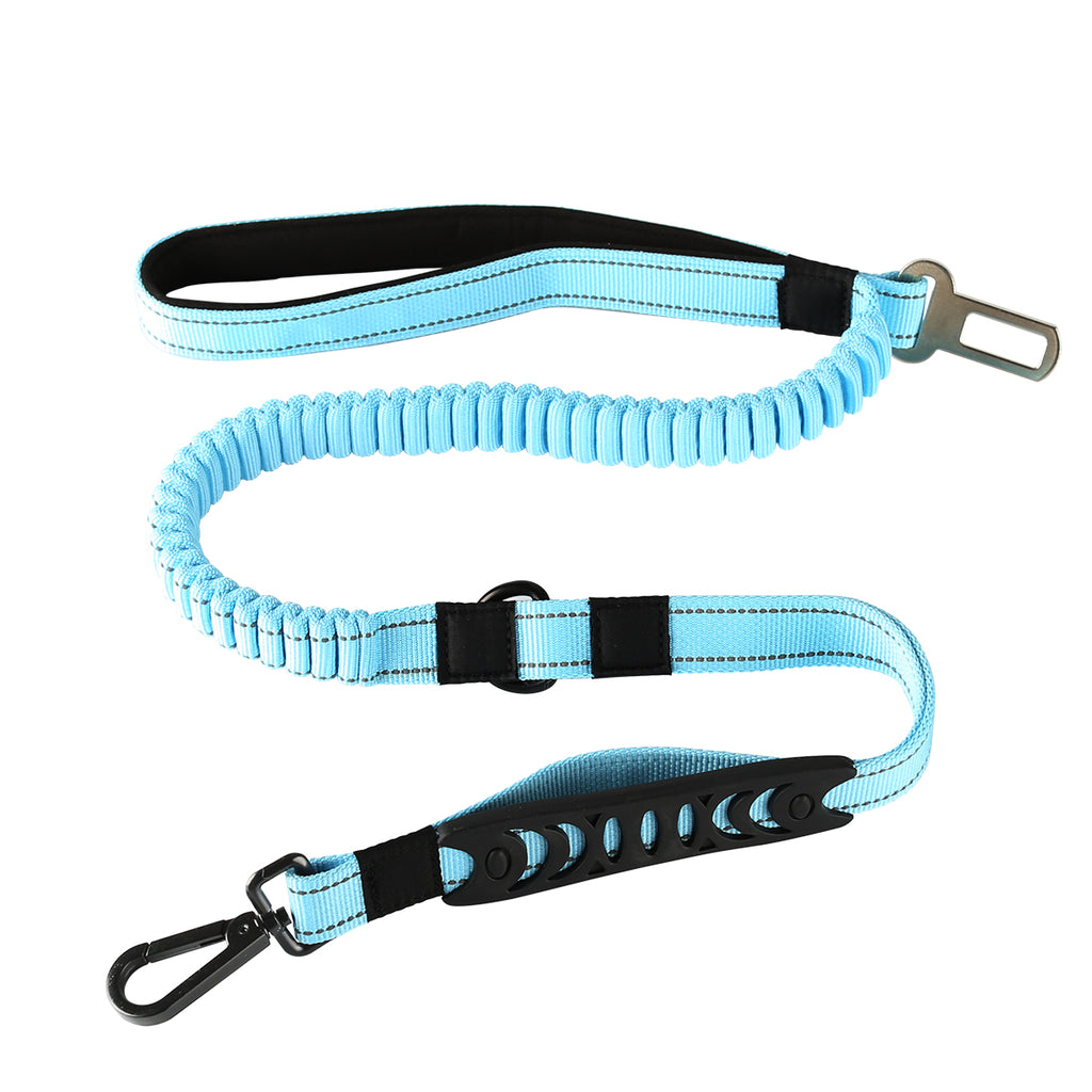 dog leash buckle