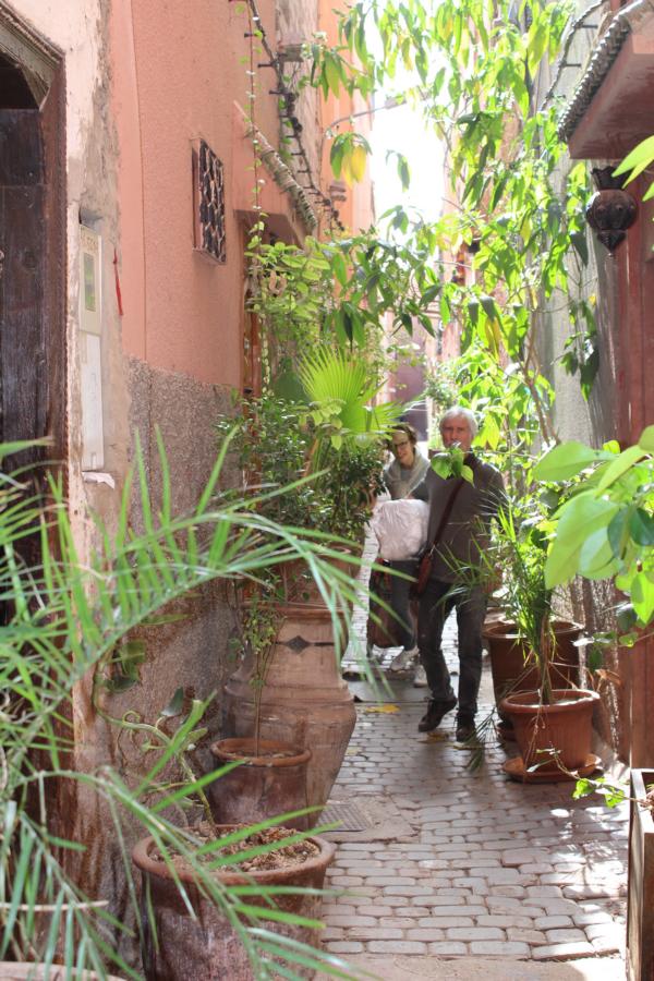 souk palmen gasse einkauf