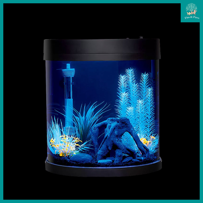 led fish aquarium